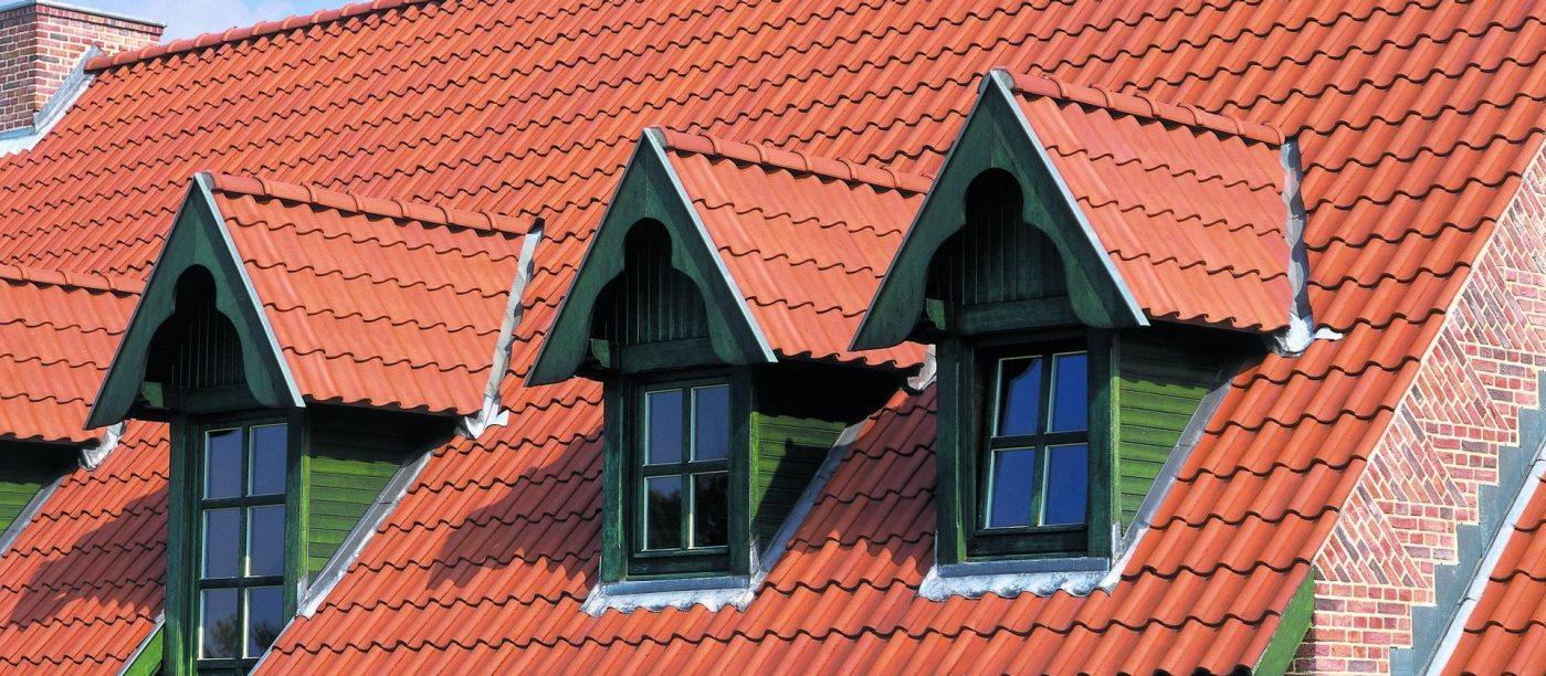 Holenderka OVH naturalna czerwień