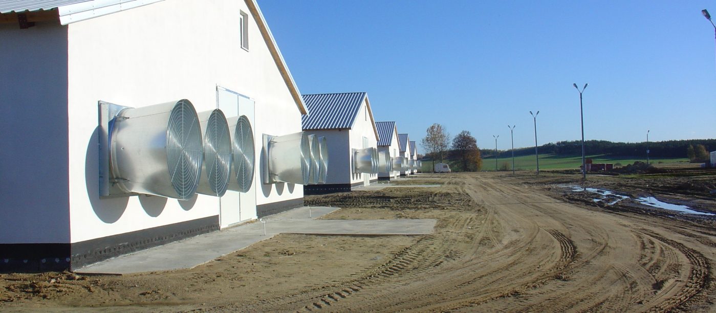 Sucha ceramika poryzowana Porotherm to idealny materiał do budowy kurników czy indyczarni