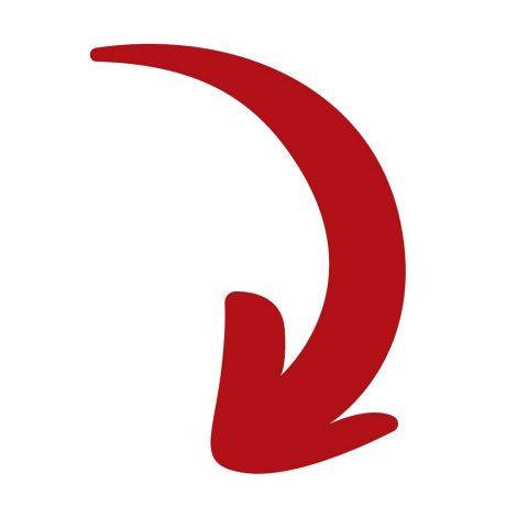ikona